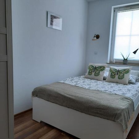 Świeradów-Zdrój Apartament Felina מראה חיצוני תמונה