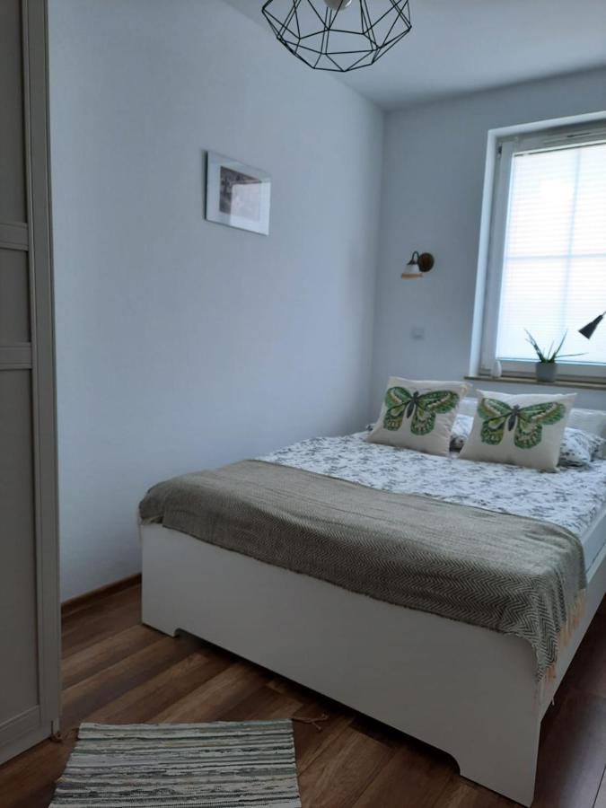 Świeradów-Zdrój Apartament Felina מראה חיצוני תמונה