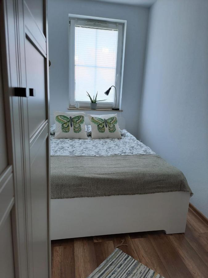 Świeradów-Zdrój Apartament Felina מראה חיצוני תמונה