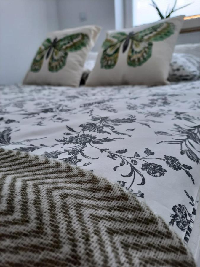 Świeradów-Zdrój Apartament Felina מראה חיצוני תמונה