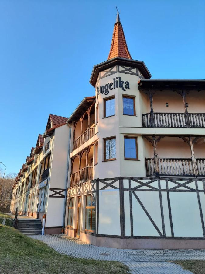 Świeradów-Zdrój Apartament Felina מראה חיצוני תמונה