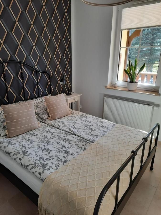Świeradów-Zdrój Apartament Felina מראה חיצוני תמונה